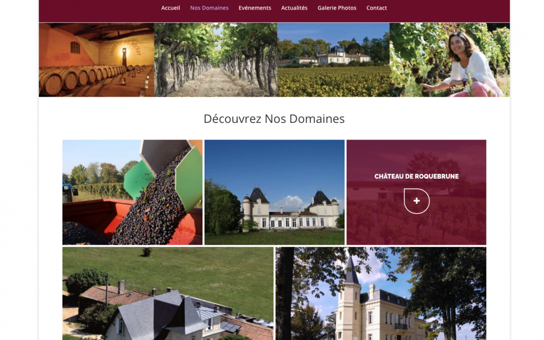 Ingénieurs Vignerons Aquitains – mini-portail web